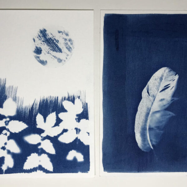 Cyanotype, Stage Les Créateliers