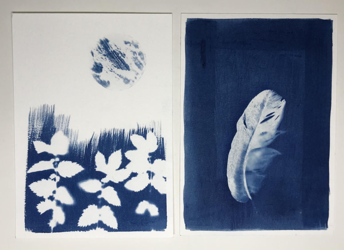 Cyanotype, Stage Les Créateliers