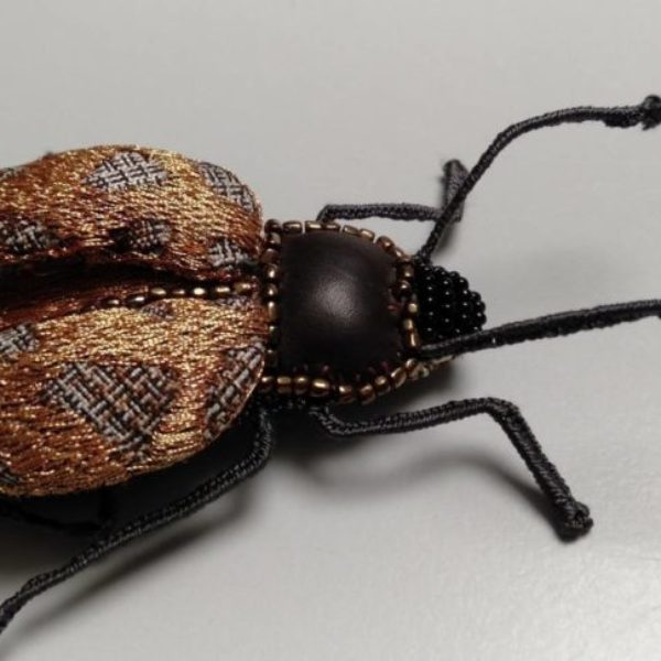 Création d’un insecte en 3D